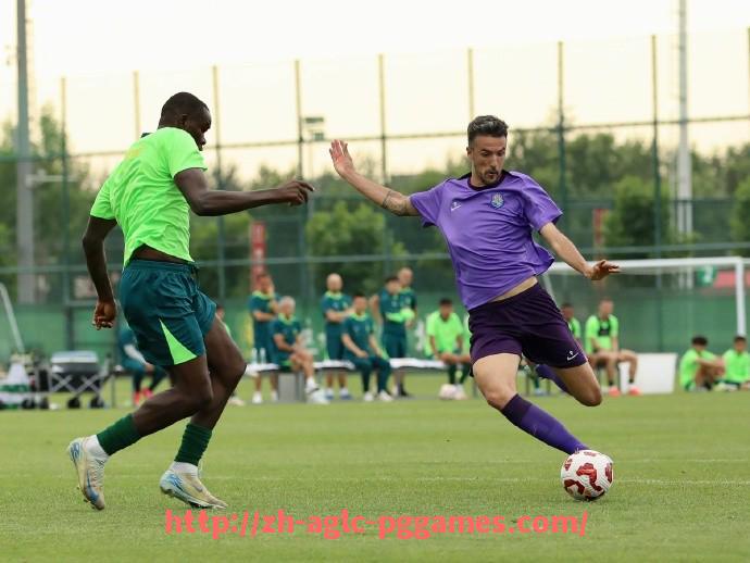 PG模拟器官方网站-世俱杯俱乐部青训体系下晋升球员比例统计与评价