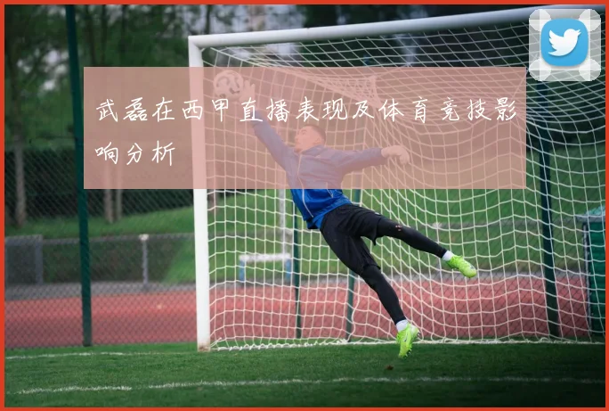 武磊在西甲直播表现及体育竞技影响分析